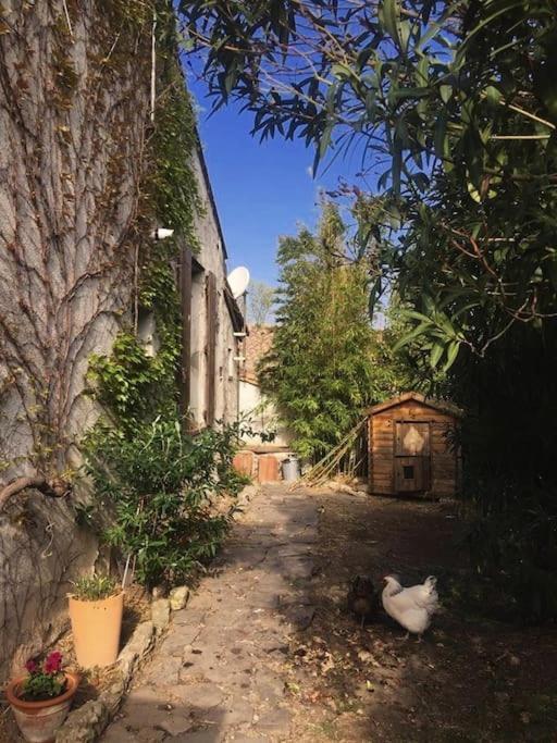 La Campagne Dans La Ville ナルボンヌ エクステリア 写真